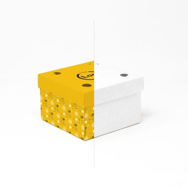 Boxes with lid mod. MORAN...